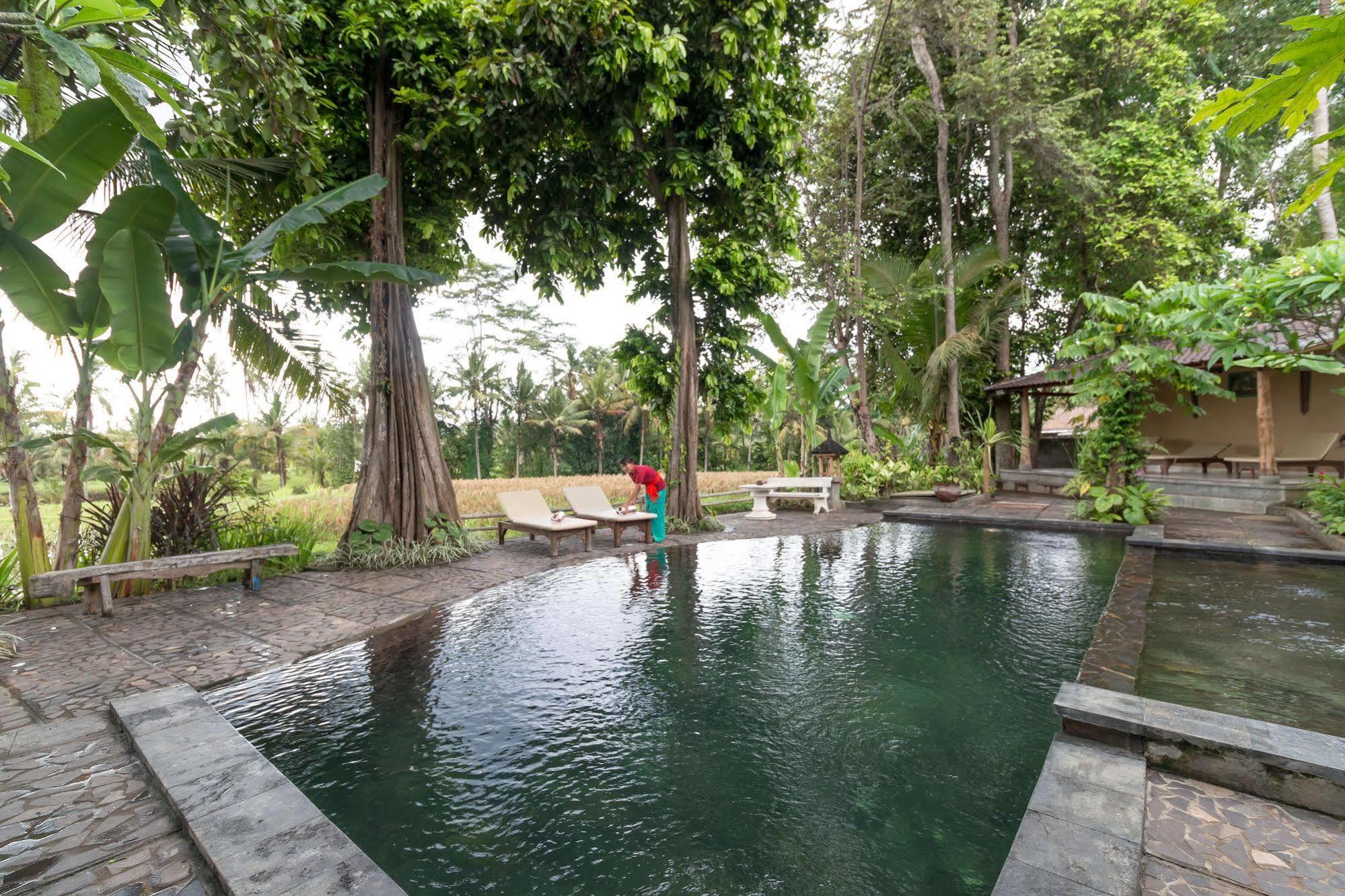 Umasari Rice Terrace Villa Selemadeg 외부 사진